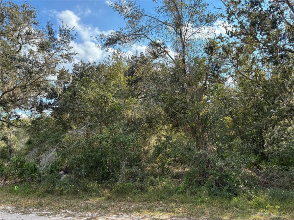 Lot 23 Blk 154 Plumosa Dr Indian Lake Estates, FL 33855
