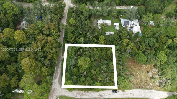 Cardel St New Port Richey, FL 34654