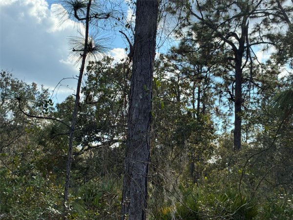 207 Plumosa Dr Indian Lake Estates, FL 33855