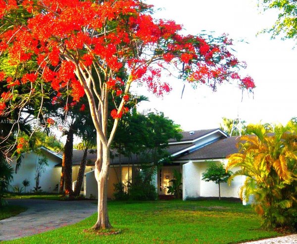 17123 SW 78th Pl Palmetto Bay, FL 33157