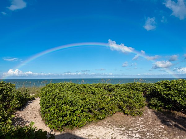 12356 Highway A1a Hwy Vero Beach, FL 32963
