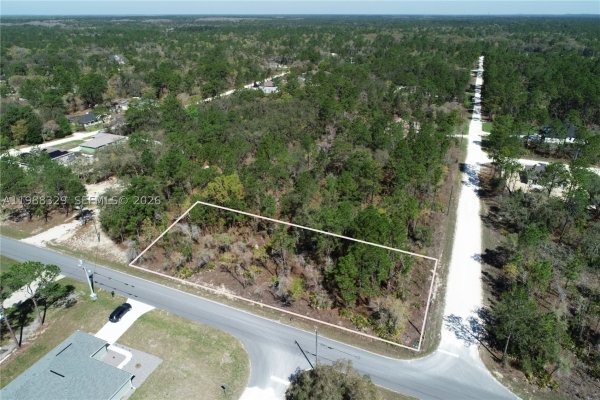Wood Owl Ave Other, FL 34614