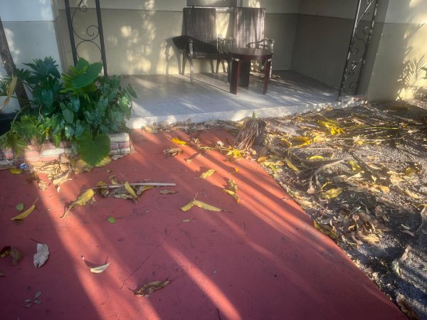 505 N 20th #1-10 Hollywood, FL 33020