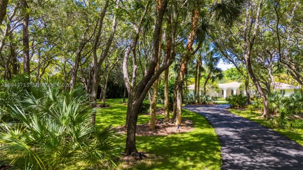 12121 SW 64th Ave Pinecrest, FL 33156