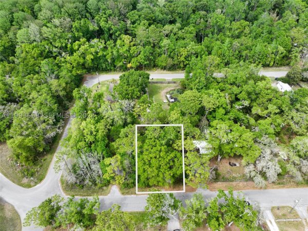 Eagle Lk Ave New Port Richey, FL 34654
