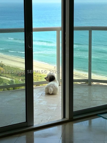 8855 Collins Ave #11B Surfside, FL 33154