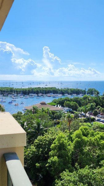 2951 S Bayshore Dr #1012 Miami, FL 33133